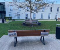 20251002 Trimm Dich Pfad 3